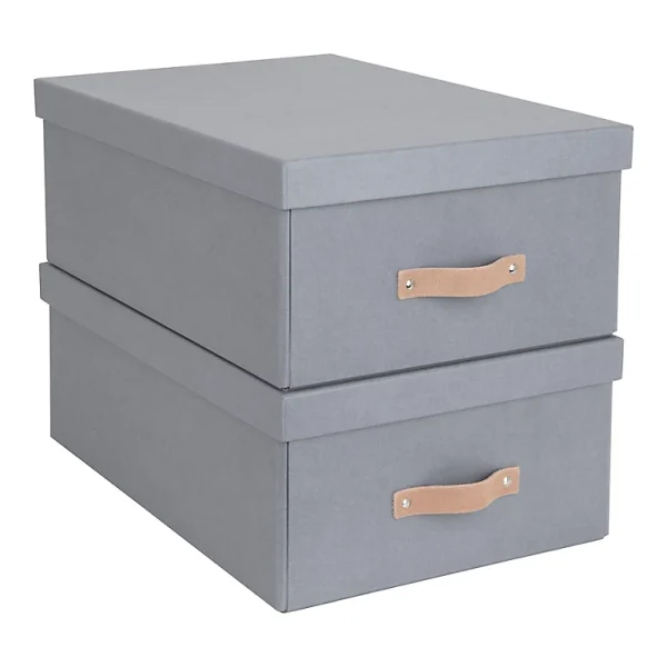 Castorama Lot De 2 Boîtes De Rangement Rectangulaires Avec Couvercle Coloris Gris Service Clients Dédié 1