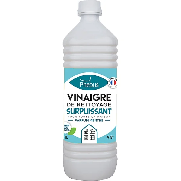 Castorama Vinaigre Nettoyant Menthe 9,5° 1 L meilleur cadeau 1